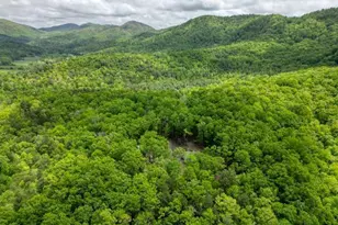 478 Flat Top Rd, Blairsville, GA 30512 - Photo 24