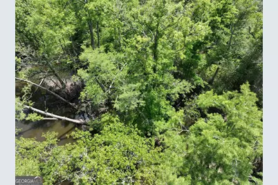 8 Old Highway 46   (24.84 Ac), Twin City, GA 30471 - Photo 26
