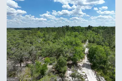 8 Old Highway 46   (24.84 Ac), Twin City, GA 30471 - Photo 4