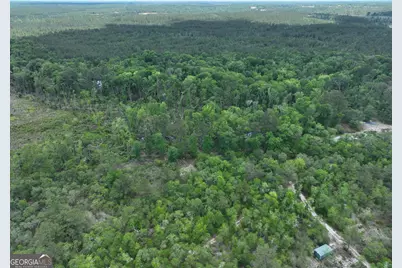 8 Old Highway 46   (24.84 Ac), Twin City, GA 30471 - Photo 12