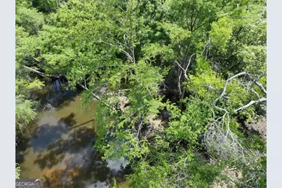 8 Old Highway 46   (24.84 Ac), Twin City, GA 30471 - Photo 24