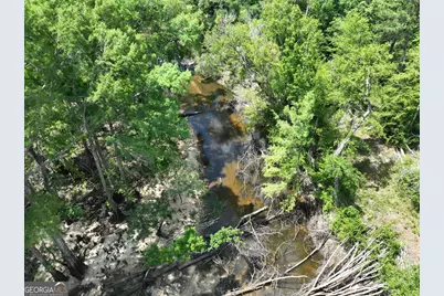8 Old Highway 46   (24.84 Ac), Twin City, GA 30471 - Photo 28