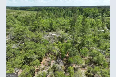 8 Old Highway 46   (24.84 Ac), Twin City, GA 30471 - Photo 14