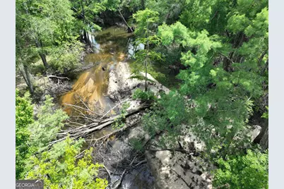 8 Old Highway 46   (24.84 Ac), Twin City, GA 30471 - Photo 22