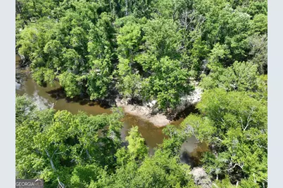 8 Old Highway 46   (24.84 Ac), Twin City, GA 30471 - Photo 18