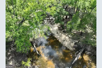 8 Old Highway 46   (24.84 Ac), Twin City, GA 30471 - Photo 20