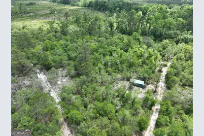 8 Old Highway 46   (24.84 Ac), Twin City, GA 30471 - Photo 6