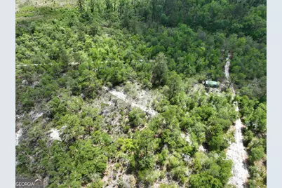 8 Old Highway 46   (24.84 Ac), Twin City, GA 30471 - Photo 8