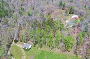 202 Dove Ln, Morganton, GA 30560 - Photo 88