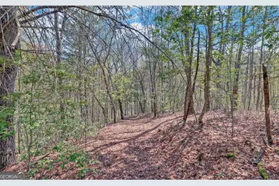202 Dove Lane, Morganton, GA 30560 - Photo 76