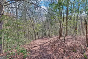 202 Dove Ln, Morganton, GA 30560 - Photo 76