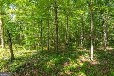 251 Old Stagecoach Road, Carrollton, GA 30116 - Photo 46