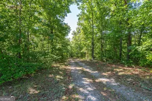 251 Old Stagecoach Rd, Carrollton, GA 30116 - Photo 48