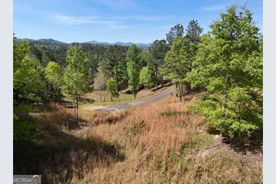 Lot 101 Big Knoll Drive, Blairsville, GA 30512 - Photo 8