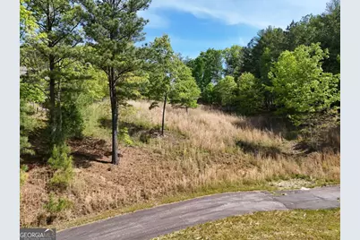 Lot 101 Big Knoll Drive, Blairsville, GA 30512 - Photo 6