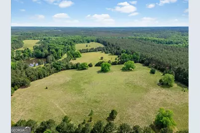 0 Thornton Rd, Washington, GA 30673 - Photo 4