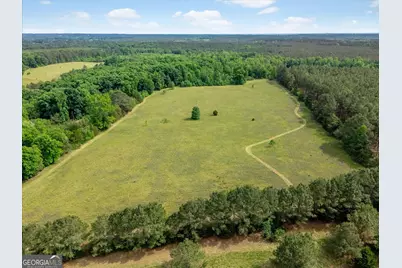 0 Thornton Rd, Washington, GA 30673 - Photo 6