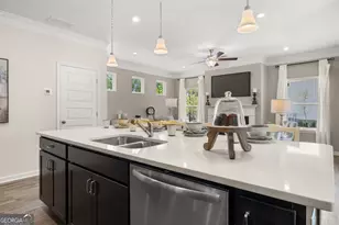 1397 Trellis Ct, Hampton, GA 30228 - Photo 8