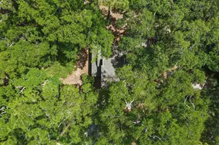 1294 Mush Bluff Rd, Saint Marys, GA 31558 - Photo 4