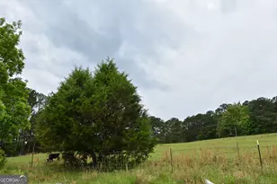 350 Double Bridge Rd, Thomaston, GA 30286 - Photo 50