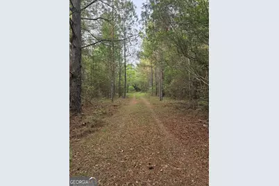 3780 Maria Sorrell Road, Statesboro, GA 30461 - Photo 8