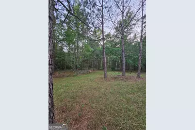 3780 Maria Sorrell Road, Statesboro, GA 30461 - Photo 6