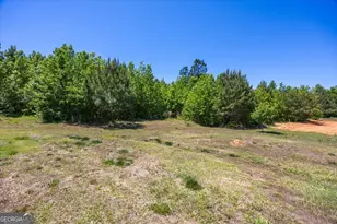 261 Blount Chapel Rd, Haddock, GA 31033 - Photo 36