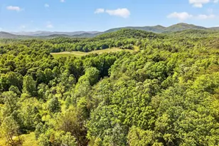 924 Fred Ash Rd, Dahlonega, GA 30533 - Photo 30