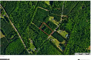 1 52 Acres Mt Pleasant Rd, Clyo, GA 31303 - Photo 1
