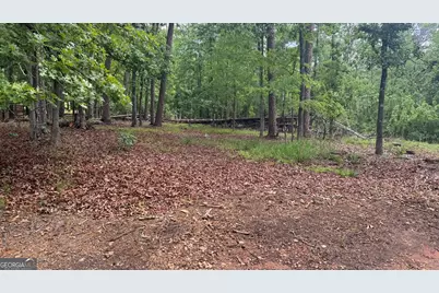 1011 Kakie Place, Greensboro, GA 30642 - Photo 4