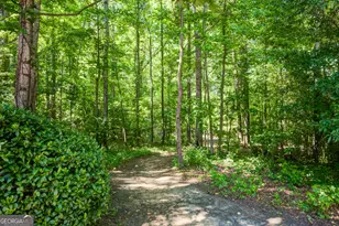 131 Fielding Ridge, Peachtree City, GA 30269 - Photo 54
