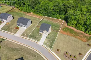 70 Blossom Wood Dr, Senoia, GA 30276 - Photo 6