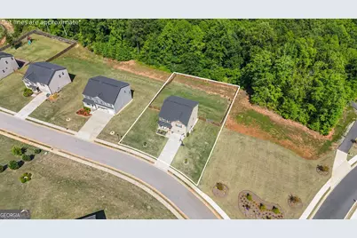 70 Blossom Wood Drive, Senoia, GA 30276 - Photo 60