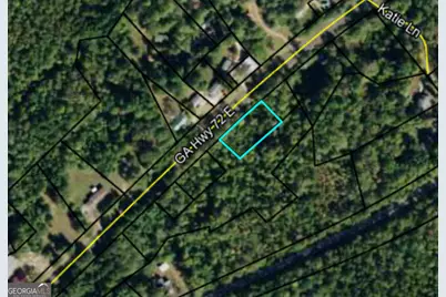 6204 Highway 72 E, Carlton, GA 30627 - Photo 2