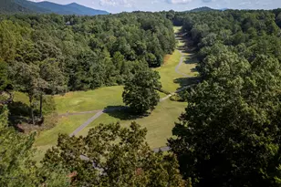 1280 Bahn Innsbruck, Helen, GA 30545 - Photo 8