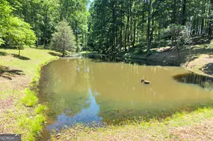 400 River Cove Rd, Social Circle, GA 30025 - Photo 74