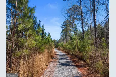 700 Ga Hwy 87, Flovilla, GA 30216 - Photo 60
