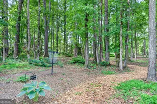 245 Ryans Ct, Sharpsburg, GA 30277 - Photo 50