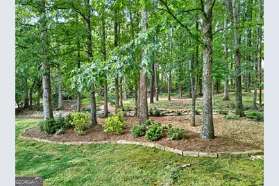 245 Ryans Court, Sharpsburg, GA 30277 - Photo 56