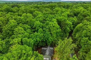 165 Pelican Dr, Ellijay, GA 30540 - Photo 6