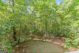 544 Cameron Rd, Cleveland, GA 30528 - Photo 48