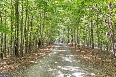 544 Cameron Road, Cleveland, GA 30528 - Photo 50