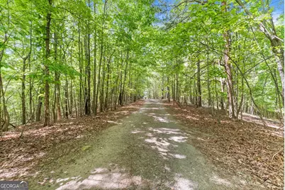 544 Cameron Road, Cleveland, GA 30528 - Photo 52