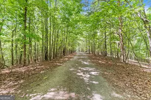 544 Cameron Rd, Cleveland, GA 30528 - Photo 52