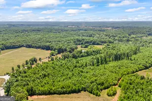 193 Wrights Mill Ln, Commerce, GA 30530 - Photo 84