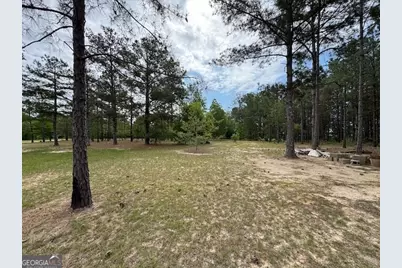 138 Brannon Montgomery Road, Mauk, GA 31058 - Photo 32