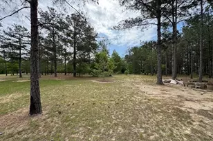 138 Brannon Montgomery Rd, Mauk, GA 31058 - Photo 32