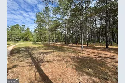 138 Brannon Montgomery Road, Mauk, GA 31058 - Photo 48