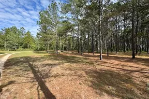 138 Brannon Montgomery Rd, Mauk, GA 31058 - Photo 48
