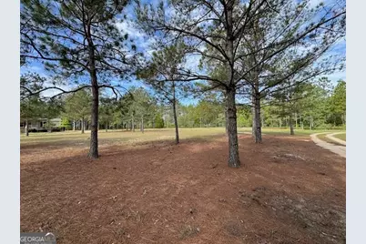 138 Brannon Montgomery Road, Mauk, GA 31058 - Photo 50